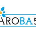 Raccolta Differenziata Rifiuti Aroba5